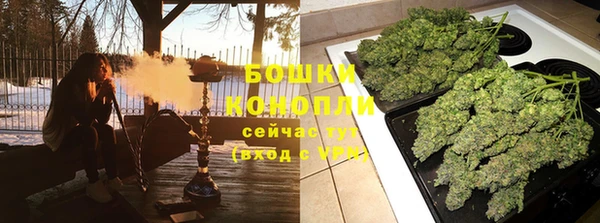 PSILOCYBIN Балабаново