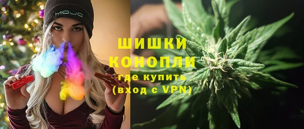 PSILOCYBIN Балабаново