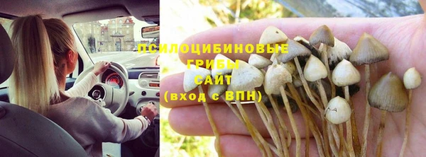 твердый Балахна
